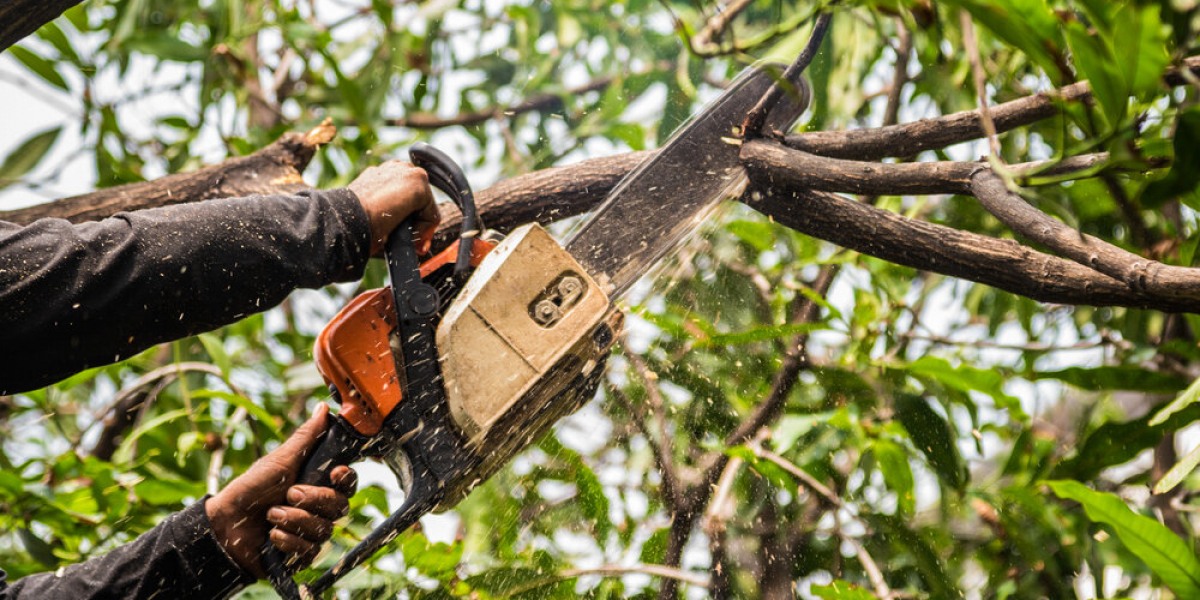 Affordable Tree Service: Expert Care at Budget-Friendly Prices