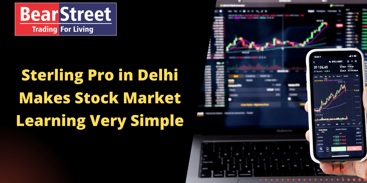 Sterling Pro in Delhi Makes Stock Market Learning Very Simple