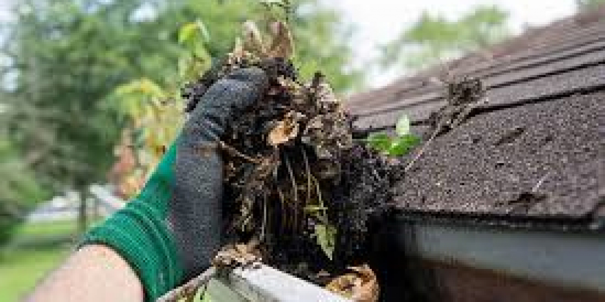 First Choice Gutter Service: Delivering the Best Gutter Cleaning Sydney, Guaranteed
