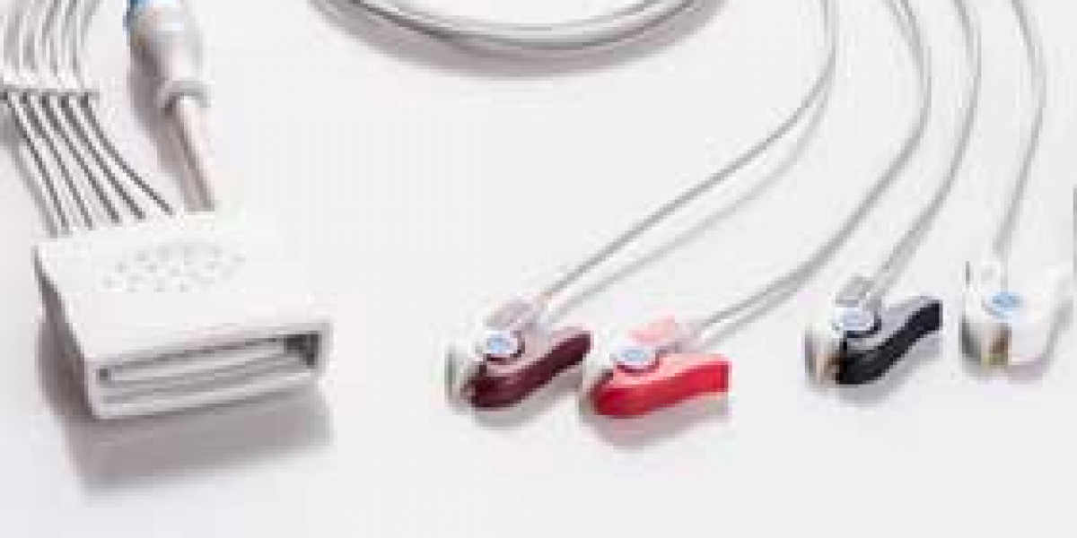 Optimizing Patient Monitor Performance: ECG 12 Lead Placement and Tourniquet Cuff Usage