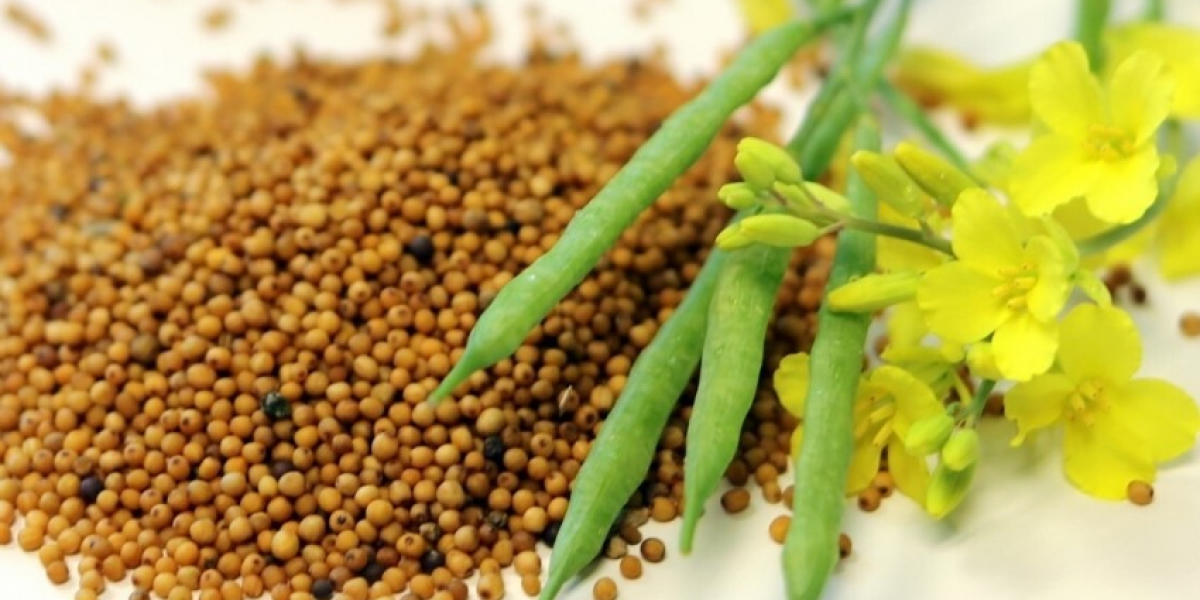 Comprehensive Approach to Setting Up a Mustard Seed Processing Plant | IMARC Group Report