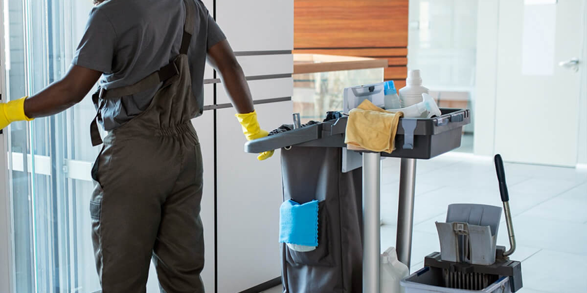 Professional Cleaning in Geelong: A Standard of Excellence for Homes and Businesses