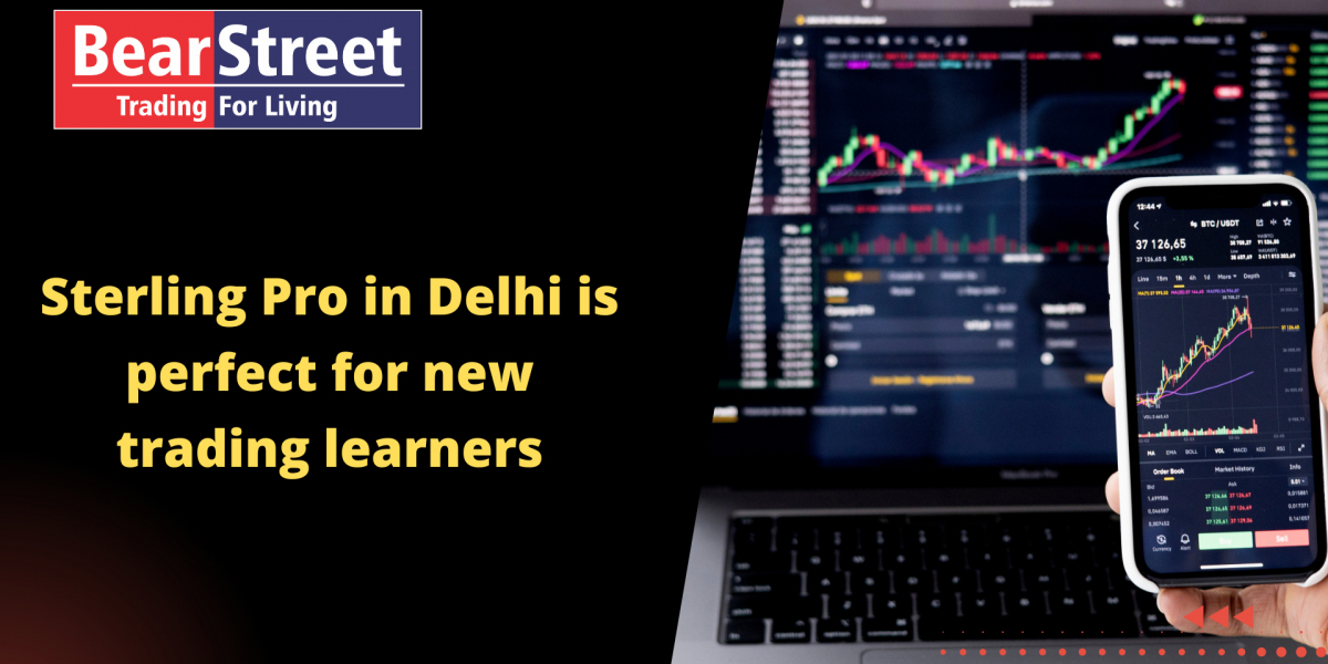 Sterling Pro in Delhi is perfect for new trading learners