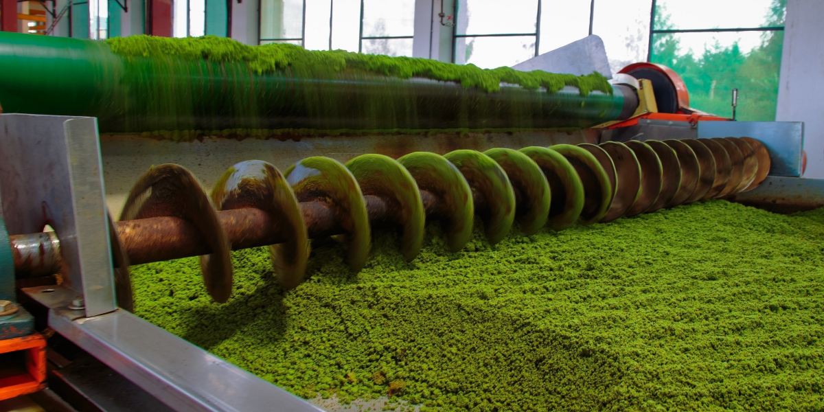 Tea Processing Plant Project Report 2025: Setup Details, Machinery Requirements and Cost Analysis