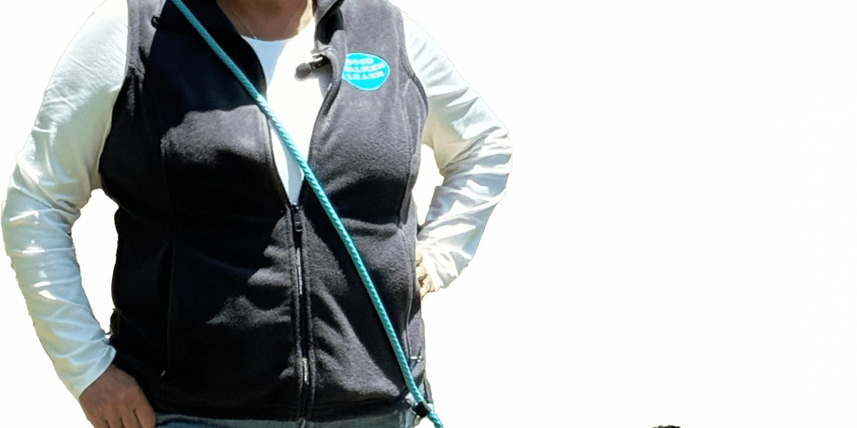 Alys Puppy Bootcamp: Professional Dog Training for a Well-Behaved Dog
