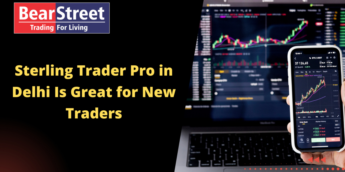 Sterling Trader Pro in Delhi Is Great for New Traders