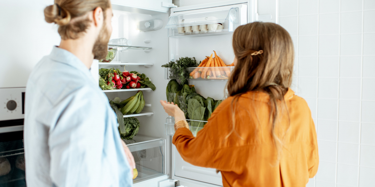 How Fridges And Freezers Impacted My Life The Better