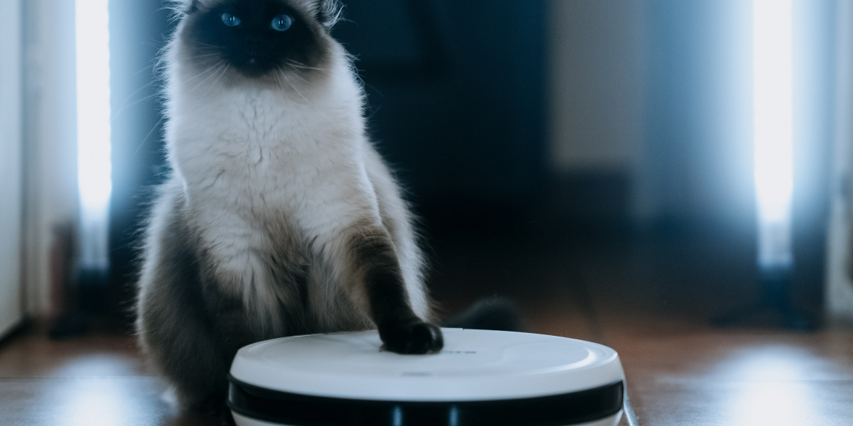 10 Quick Tips About Robot Cleaner