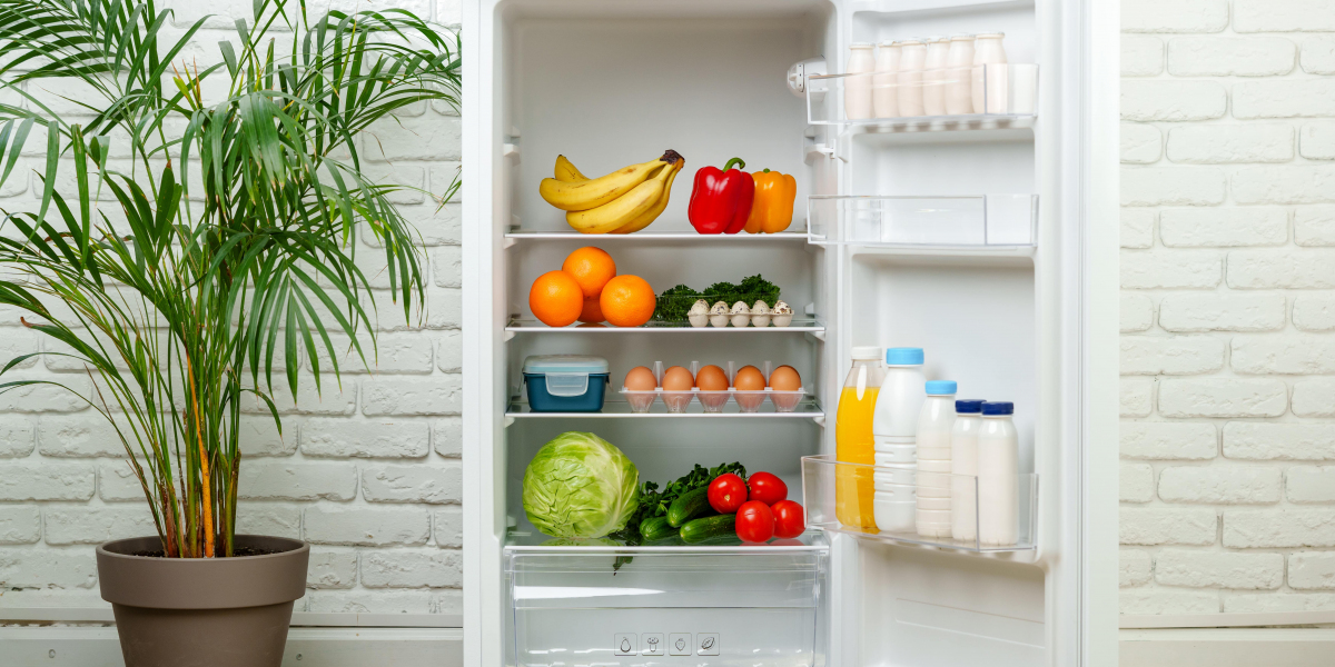 Best Fridges Tools To Make Your Day-To-Day Life
