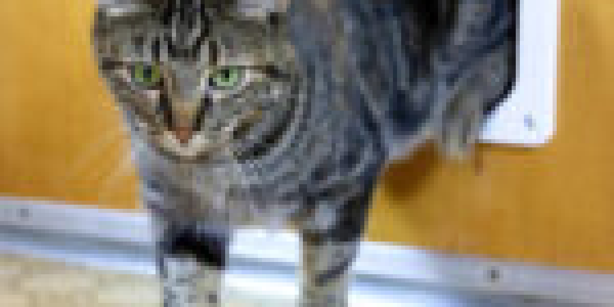 One Cat Entrance Fitting Success Story You'll Never Be Able To