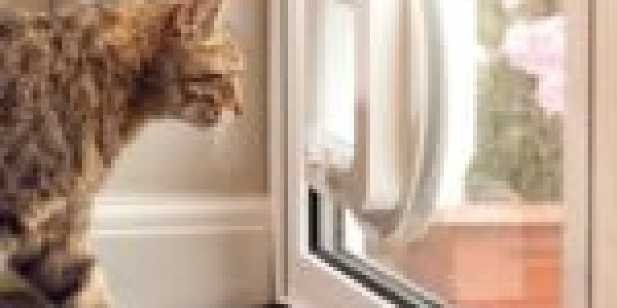 15 Things You've Never Known About Cat Flap Installation Price