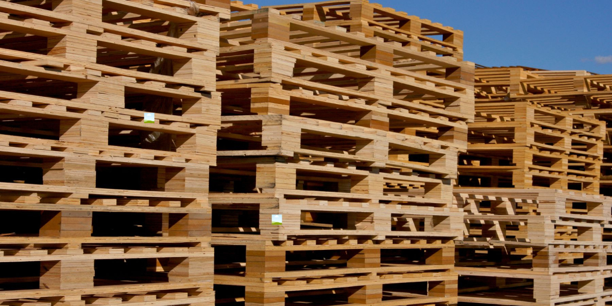 Pallets: The Backbone of Efficient Storage and Logistics