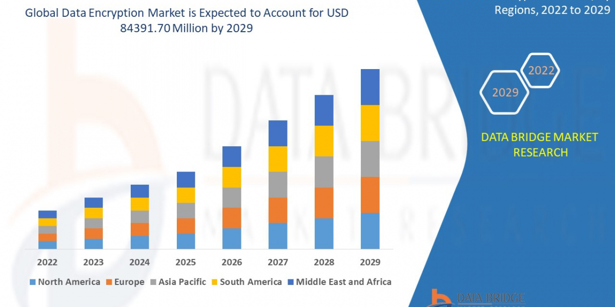 Data Encryption Market Trends: Growth, Share, Value, Size, and Insights