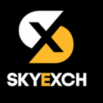 Skyinplay Login