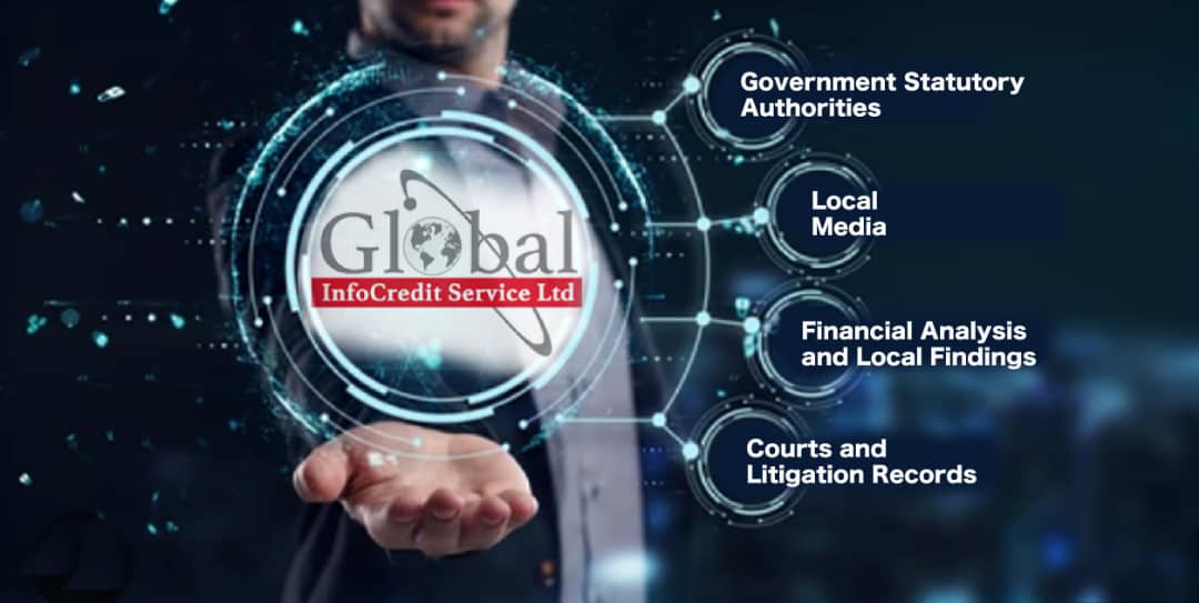 Preliminary Credit Report Services | Credit Risk Management
