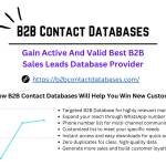 B2B Contact Databases