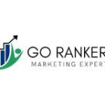 Go Rankers LLC