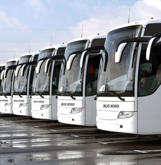 Charter Bus Rental Near Me in Maryland, USA: BUSXOXO Transportation